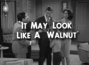 walnut1