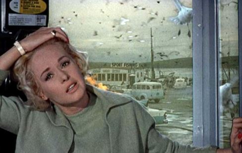 the birds hitchcock phone booth