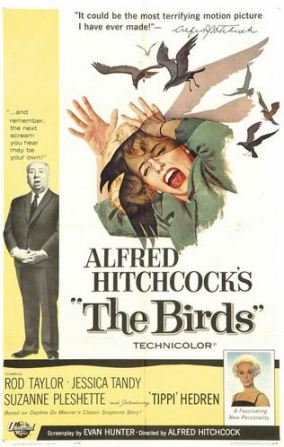 the birds poster