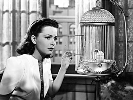 princess o'rourke olivia de havilland