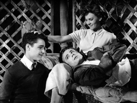 rebel without a cause